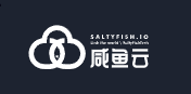 2023/1/17SaltyFish新年促销-affidc.com